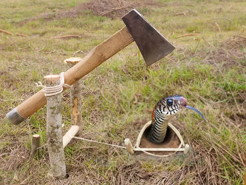 نحوه ساخت تله مار زنده گیر آسان و ارزان