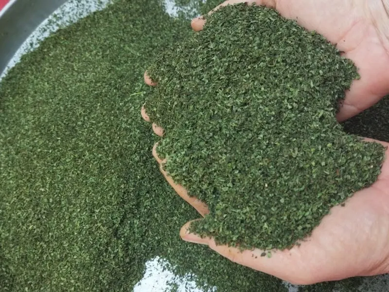 طرز تهیه نعنا خشک / روشی کاملا طبیعی برای خشک کردن نعنا بدون نیاز به مواد شیمیایی