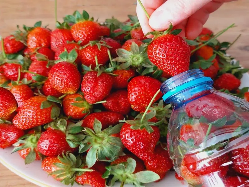 روش طبیعی تازه و سالم نگه داشتن توت فرنگی / تا 1 سال سالم و تازه میماند