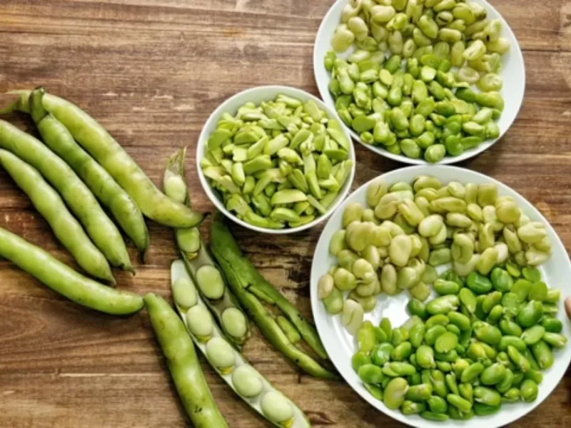 سریع ترین روش پوست کندن باقالا / روش بلانچ و فریزر کردن باقالی برای نگهداری طولانی مدت در فریزر