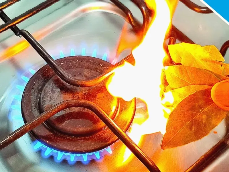 برگ بو را بسوزانید / اگر همیشه استرس دارید یک برگ بو را روشن کنید!