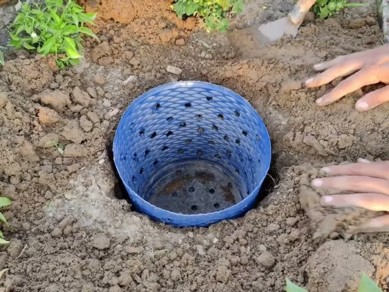 کود دهی را متوقف کنید ! روشی ساده برای تغذیه ریشه گیاهان