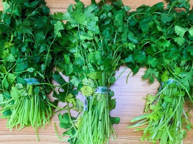 نحوه شستن و تازه نگهداشتن سبزی در یخچال / سبزی را تا ماهها تازه نگه دارید