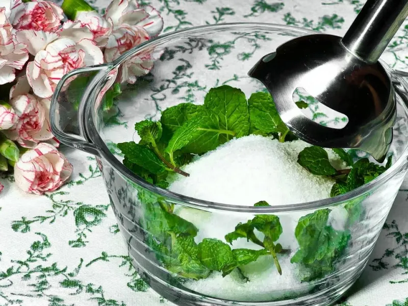 شکر + نعنا / طرز تهیه دسر 5 دقیقه ای با نعنا و شکر