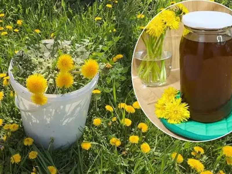 طرز تهیه شربت گل برای درد مفاصل و مشکلات گوارشی