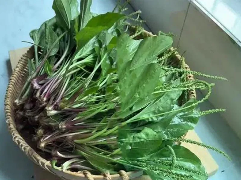 چای خانگی موز / طرز تهیه چای گیاهی