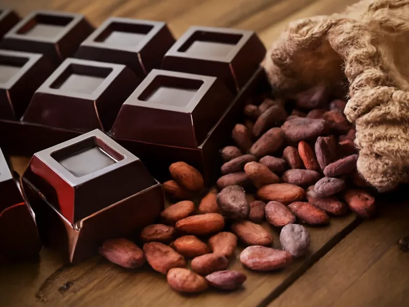 طرز تهیه شکلات تلخ خانگی بدون شکر و کاملاً سالم طرز تهیه شکلات تلخ خانگی بدون شکر و کاملاً سالم