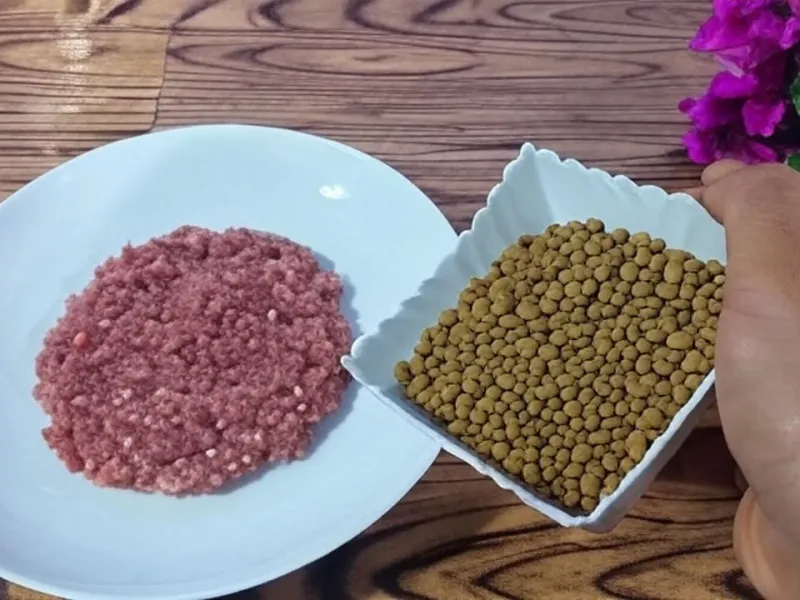 طرز تهیه کتلتل با عدس / کتلت معمولی رو بذار کنار محشره و باید امتحانش کنی