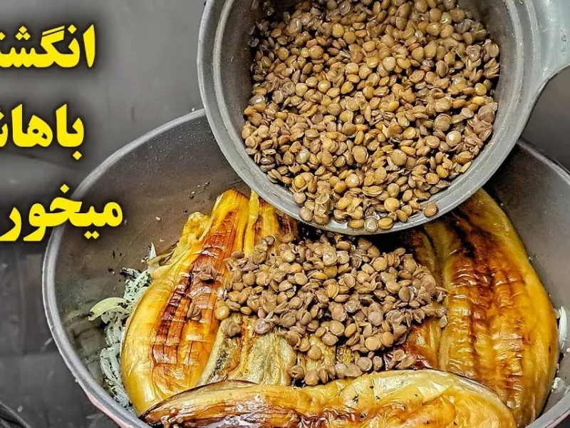 طرز تهیه یک غذای خوشمزه  فوری و جدید با بادمجون