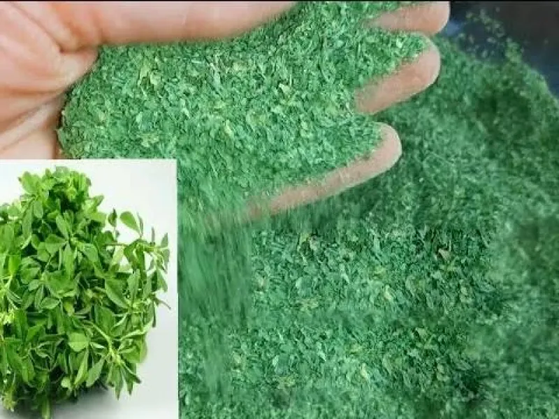 قطع ریزش مو و رشد دوباره ی مو با ماسک شنبلیله