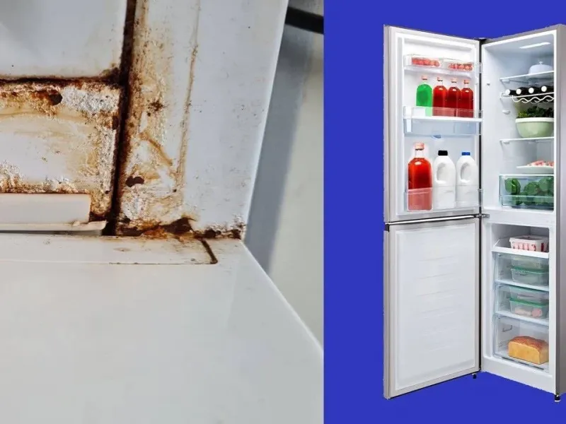 چگونه می توان یک یخچال زنگ زده را در خانه ترمیم کرد!