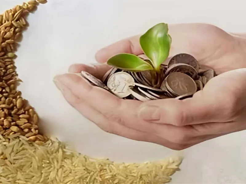 فطریه امسال چقدر است؟ مبلغ فطریه 1404 از نظر علمای مختلف