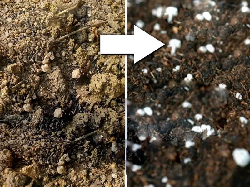 2 روش ساده برای احیای خاک گلدان قدیمی