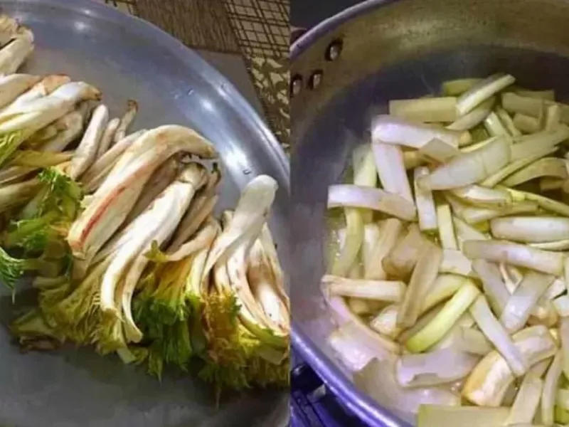 آموزش پخت کنگر به دو روش ساده و خوشمزه