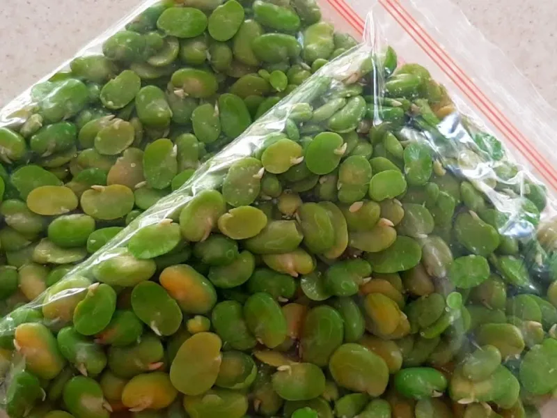 چطور باقلا سبز را برای مدت طولانی نگهداری کنید؟