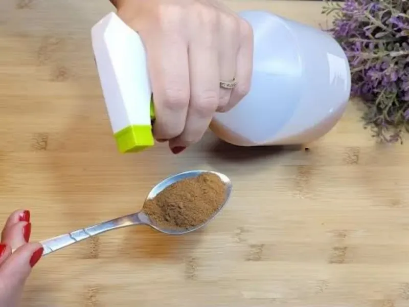 این کار را انجام دهید و هرگز مگس ها و پشه ها را در خانه خود نخواهید دید