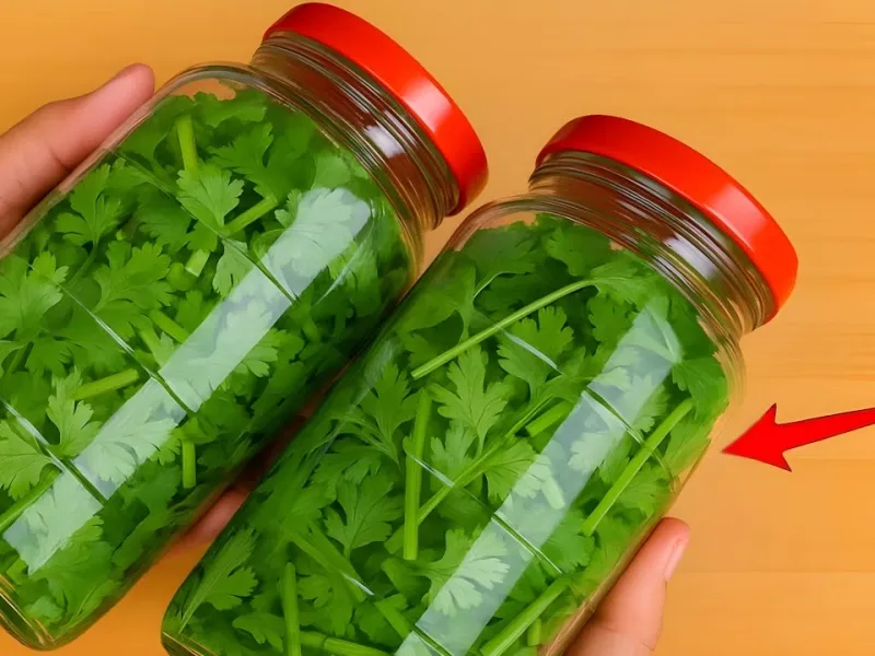 چگونه گشنیز را به مدت یک سال بدون خراب شدن نگهداری کنیم؟