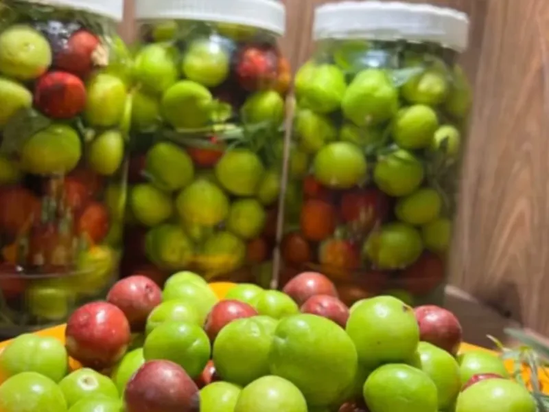 طرز تهیه ترشی گوجه سبز خوشمزه و خانگی