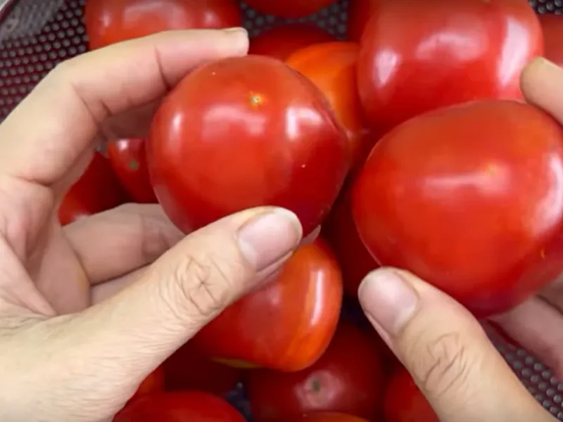 چگونه گوجه فرنگی ها را برای 6 ماه تازه نگه داریم؟