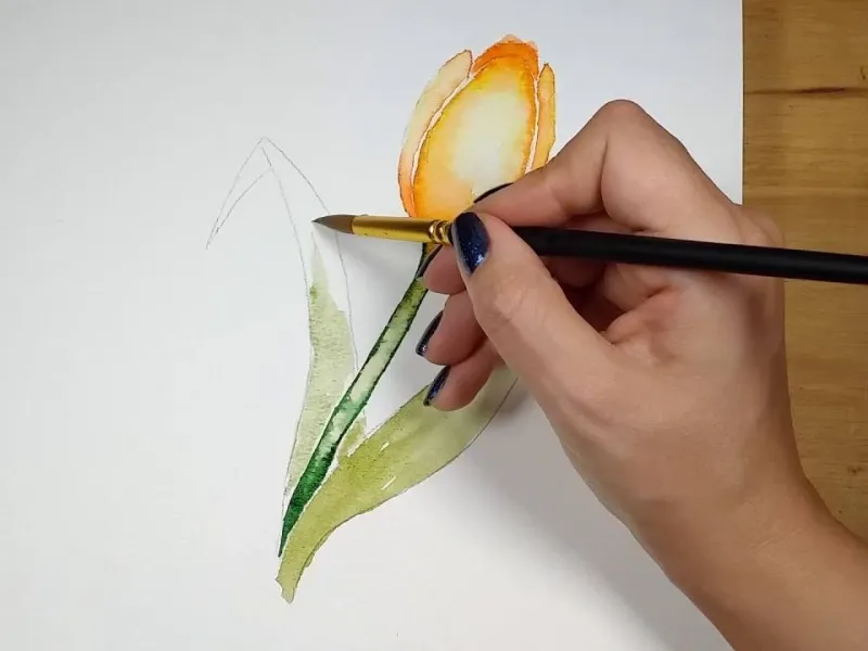 آموزش مرحله به مرحله گل لاله با آبرنگ آموزش مرحله به مرحله گل لاله با آبرنگ