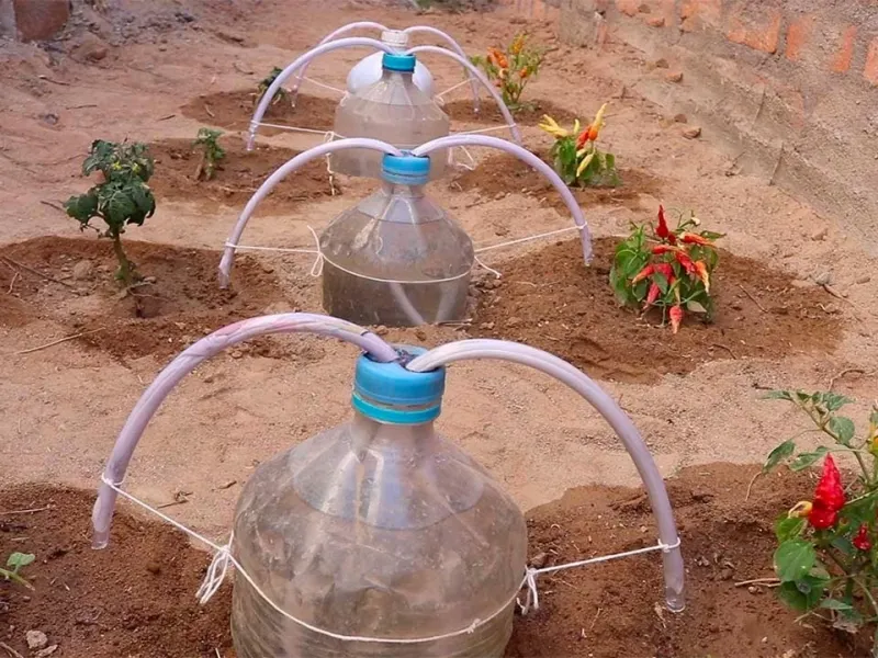 آموزش آبیاری قطره ای با بطری های پلاستیکی ارزان ، ساده ، سریع و آسان