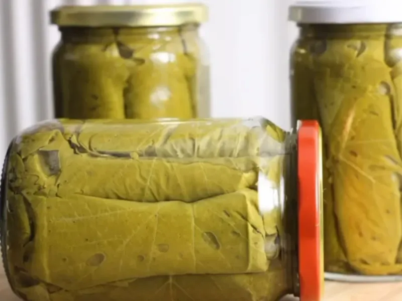 نگهداری برگ مو در آب نمک (راهنمای کامل)