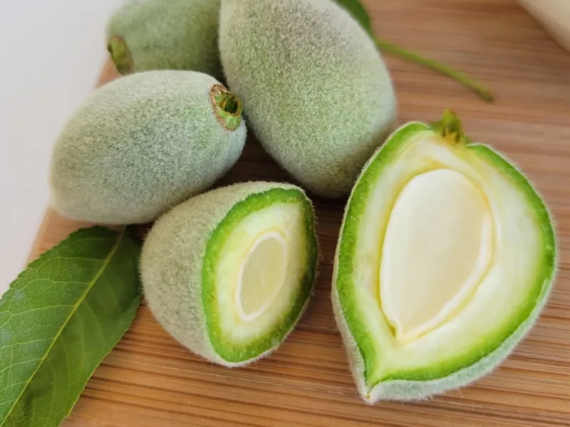 روش های نگهداری و استفاده بهینه از چغاله بادام