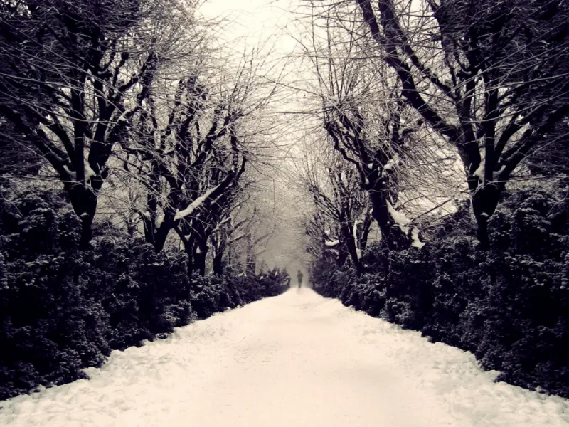 گزیده ای از فلسفی ترین و سردترین اشعار عاشقانه