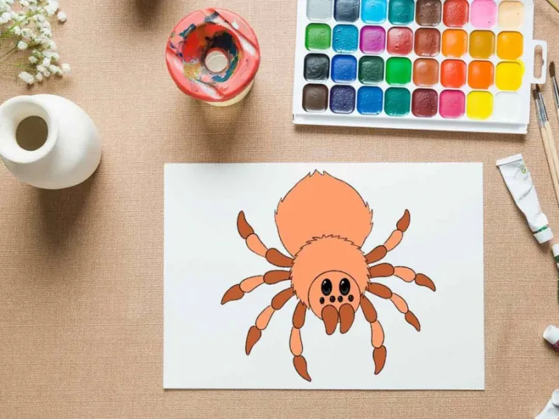 با چند دایره ساده یک عنکبوت تپل نقاشی کن