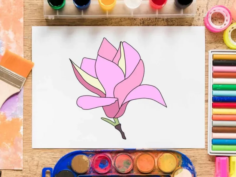 آموزش گام به گام نقاشی گل مگنولیا به صورت تصویری برای کودکان