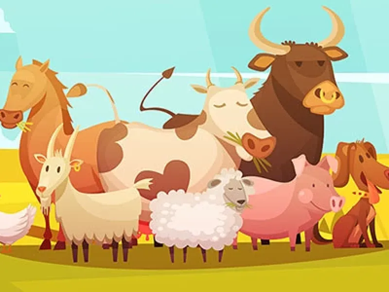 روز جهانی حیوانات مزرعه چه روزی است ؟