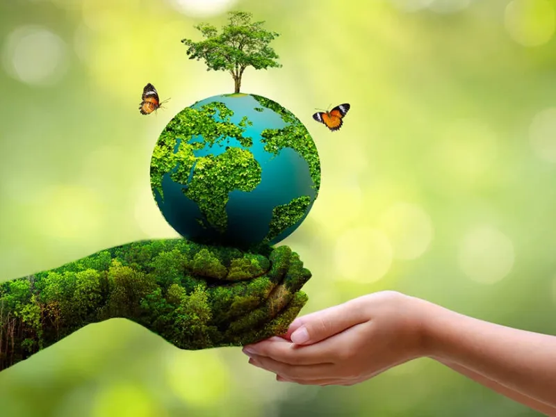 روز جهانی درختکاری چه روزی است ؟