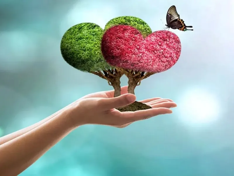 همینقدر صمیمانه روز جهانی نیکوکاران را تبریک بگو !