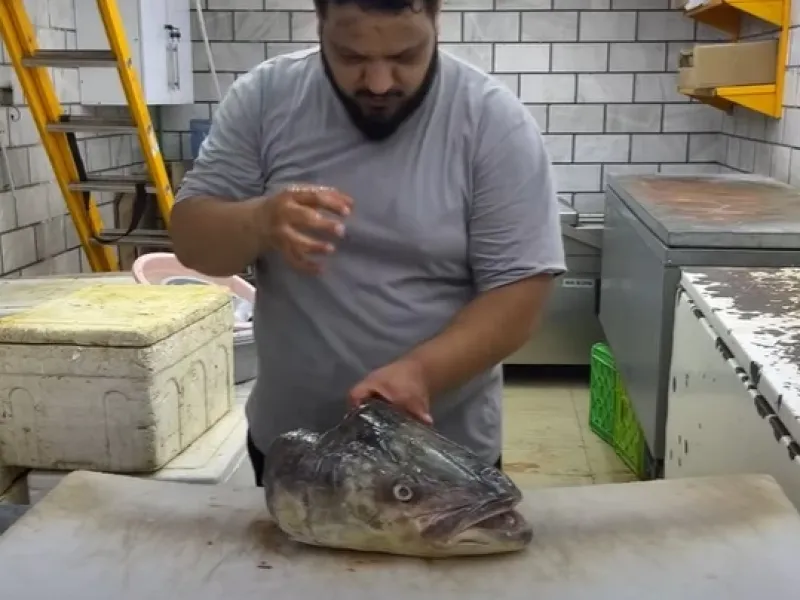 کله ماهی قابل خوردن است یا نه؟ آیا می شود کله ماهی را خورد؟!