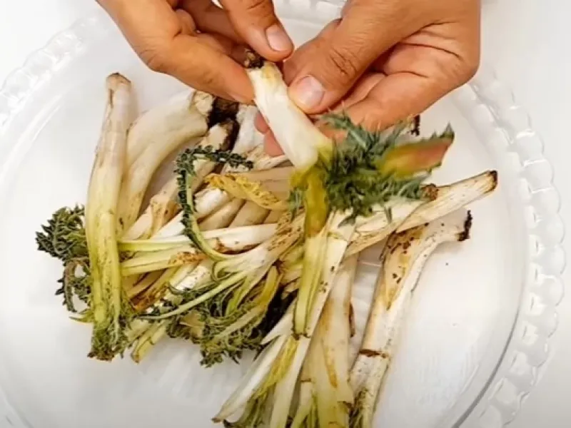 نحوه پاک کردن کنگر کوهی / گرفتن تیغ ها کنگر / نکات مهم کنگر