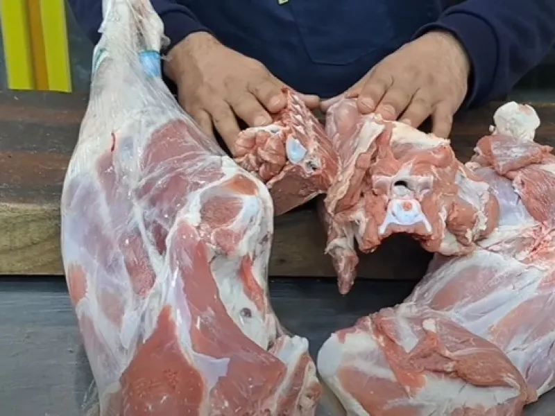 انتخاب بهترین گوشت قرمز برای خورشت / کدام قسمت گوشت گوسفند برای خورشت بهتر است