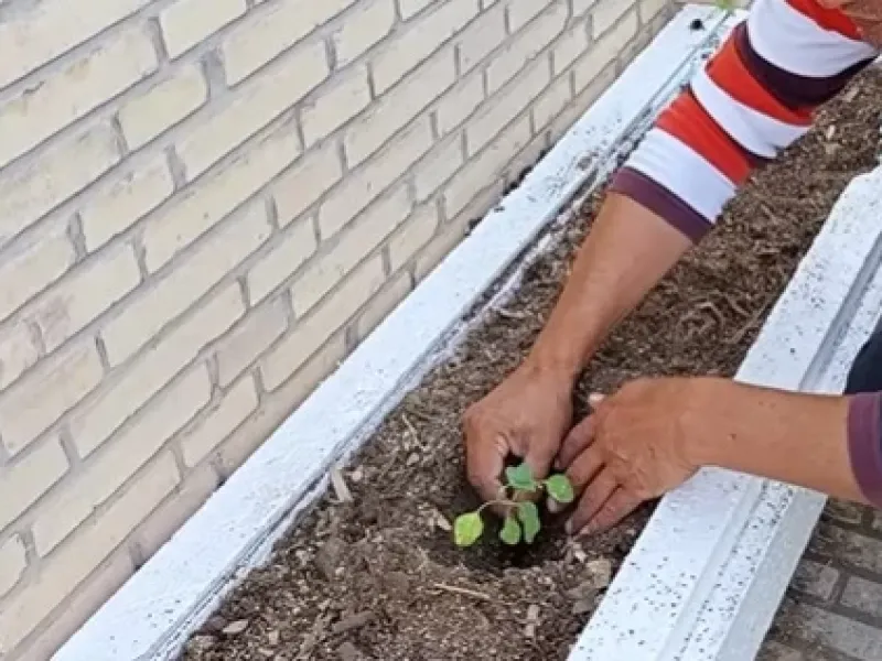 ساخت باغچه با یونولیت سقفی / با یونولیت یک باغچه شیک بسازید