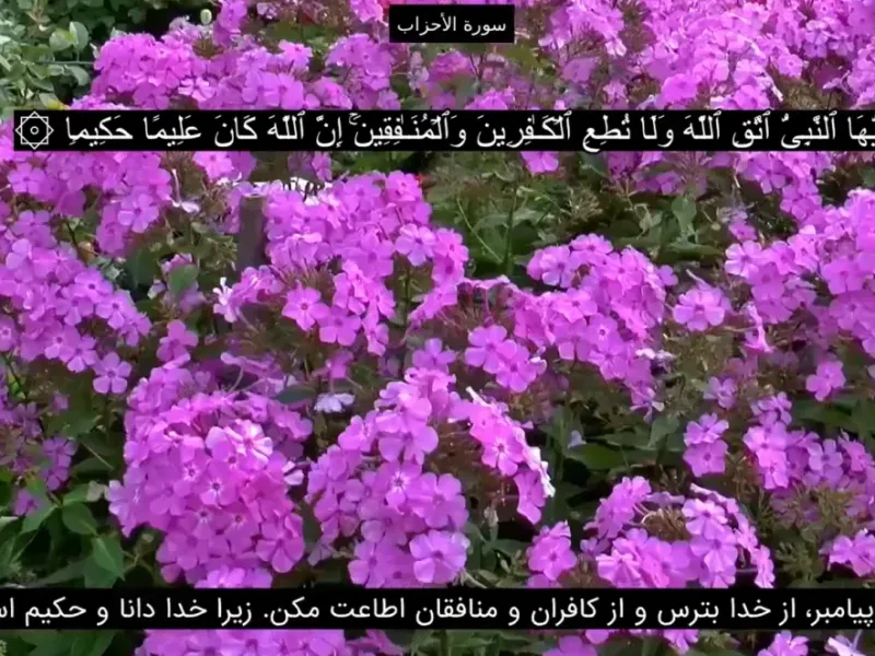دانلود سوره احزاب کامل به صورت صوتی با کیفیت بالا دانلود سوره احزاب کامل به صورت صوتی با کیفیت بالا