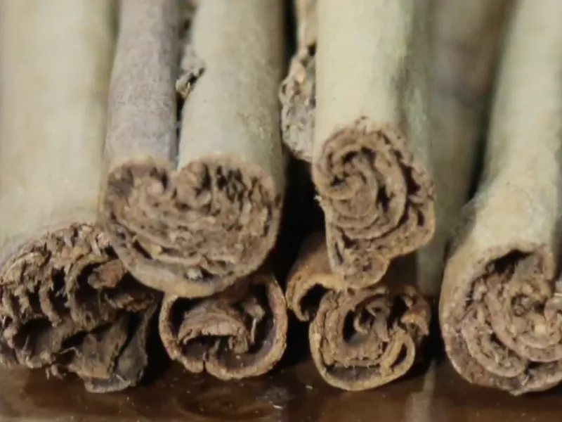 دارچین اصل و تقلبی را بشناسید / فرق دارچین اصل و تقلبی