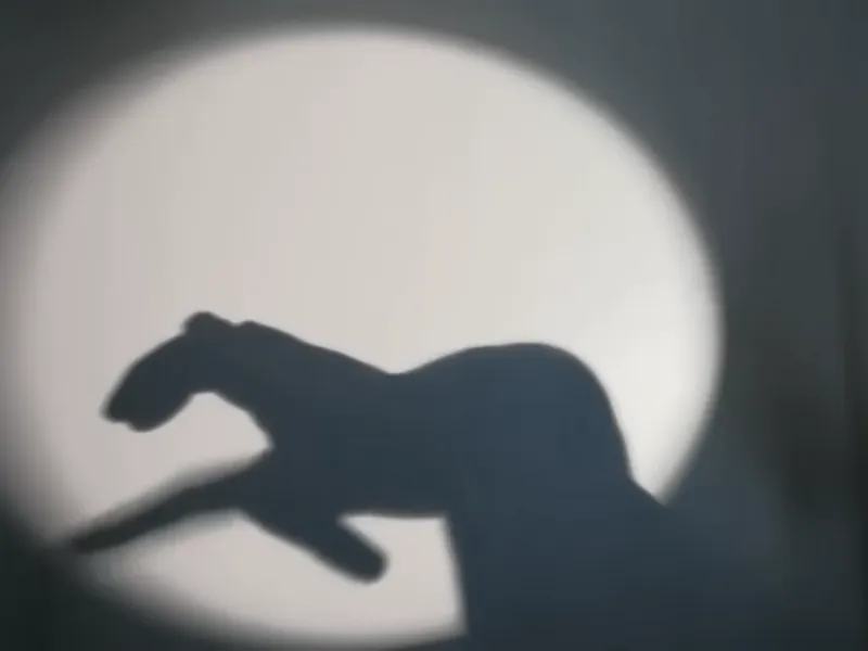 سایه بازی با دست برای کودکان / سایه بازی حرفه ای شکل حیوانات