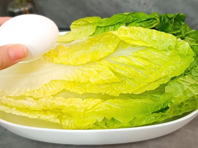 غذای جدید با کاهو و تخم مرغ ترکیبی که همه عاشقش میشن!