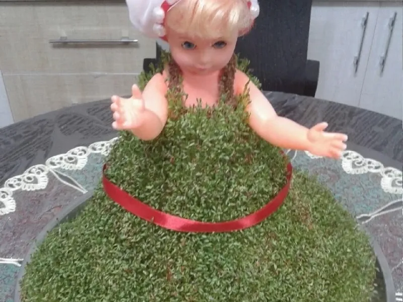 آموزش درست کردن سبزه عروسکی / سبزه سفره هفت سین