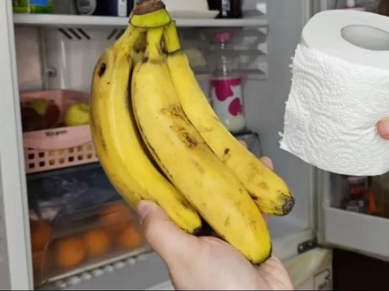 10 روش برای سالم و تازه نگهداشتن طولانی مدت سبزیجات / صفر تا صد نگهداری انواع میوه و صیفیجات