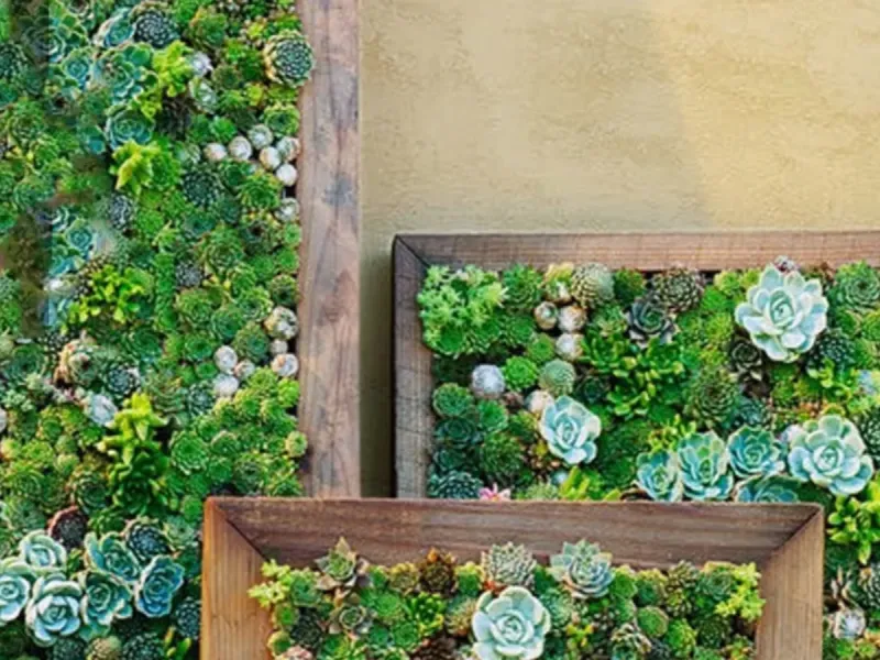 چجوری قاب دیوار گلدونی درست کنیم؟