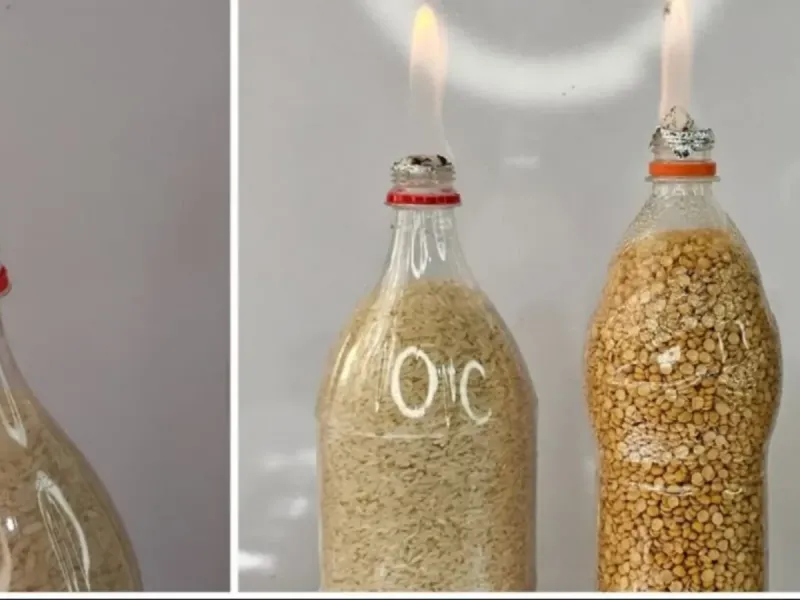 بهترین راه برای نگهداری طولانی مدت حبوبات و برنج بدون شپشک / کاش زودتر یاد میگرفتم