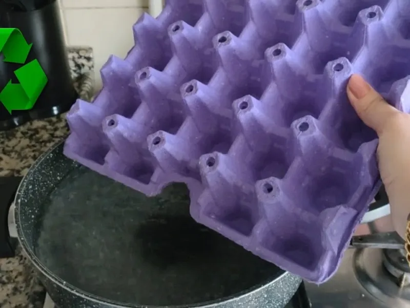 کاردستی جالب با جعبه تخم مرغ در آب !