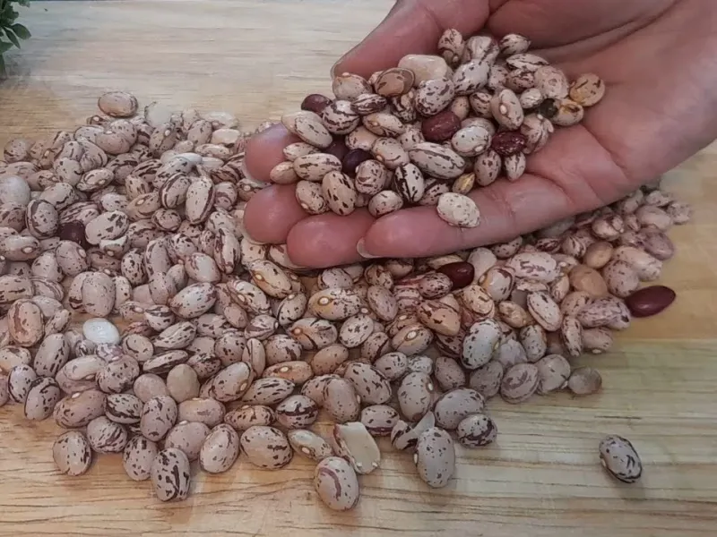 اگه بدونی چقدر خوشمزس مطمئنم هر روز همین غذا رو درست میکنی بدون گوشت ولی 1000 برابر خوشمزه تر!