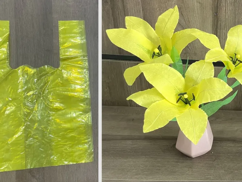 تبدیل کیسه های پلاستیکی به گل زنبق: راه حلی خلاقانه برای بازیافت