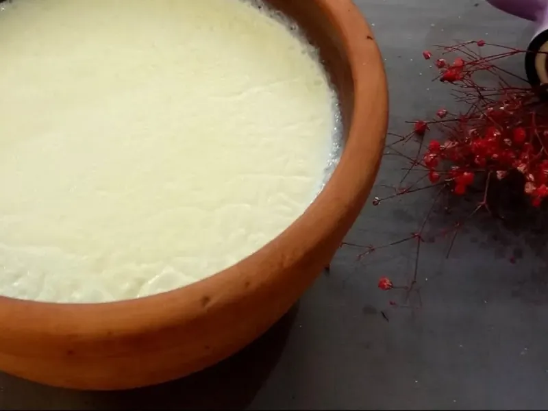 ماست پروبیوتیک راز سلامتی بدن و دلایل علمی آن!