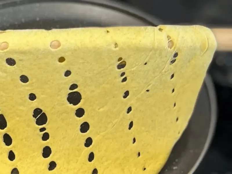 نان تافتون خانگی تو تا به مشهدی سبوس دار و خیلی خوشمزه است!